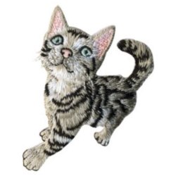 画像1: アップリケワッペン　キュリオスキャット 　 ST　猫
